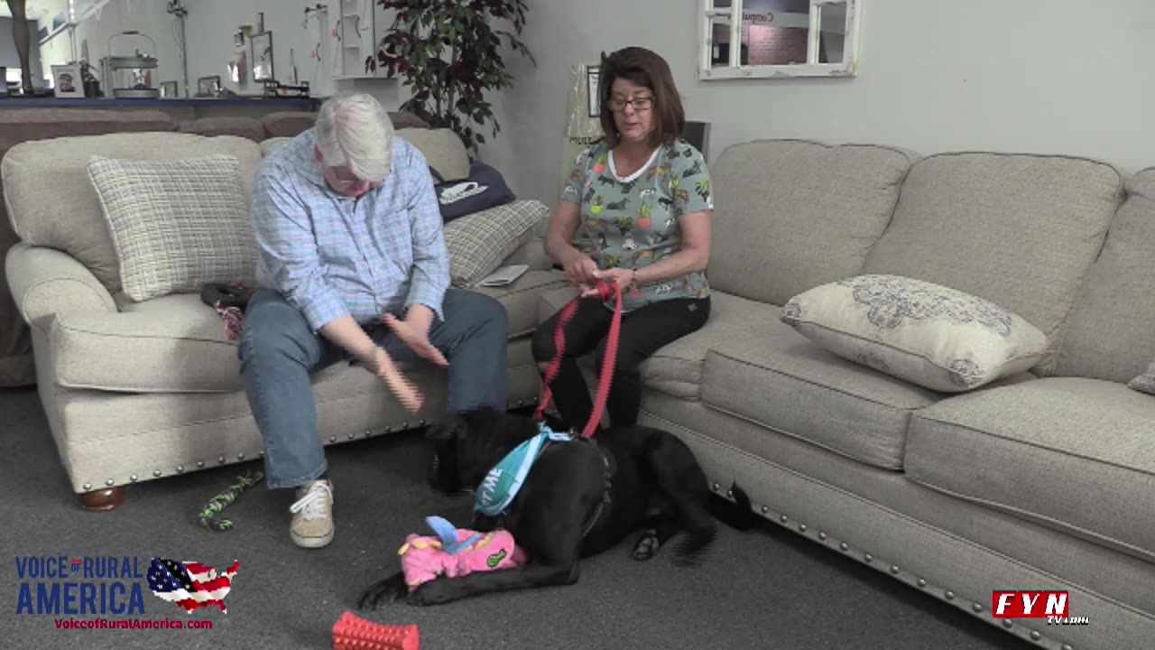 PET OF THE WEEK - Meet Sebastian - www.HumaneSocietyofBlueRidge.org