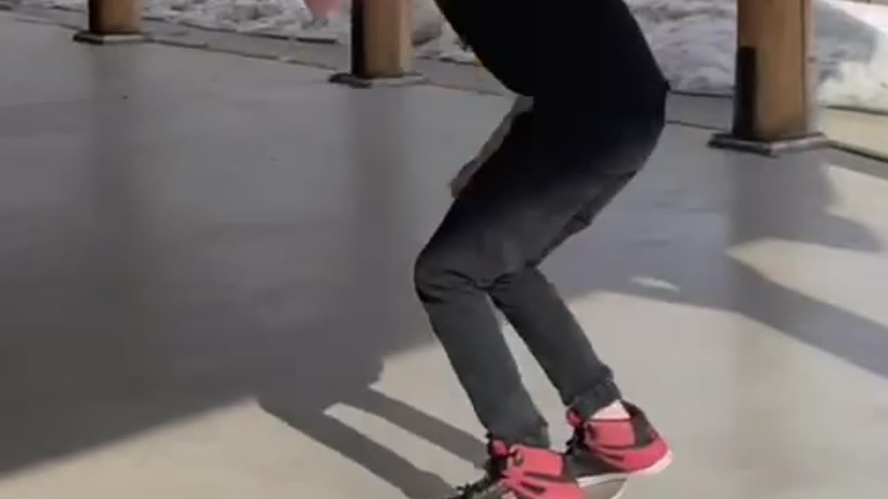 PoochI Skate CO “Early 2000’s”