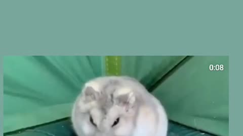 Cate cuple you and me