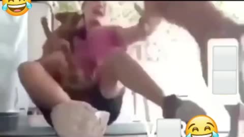 Funny dogs fighting video. Try not to laugh challenge.