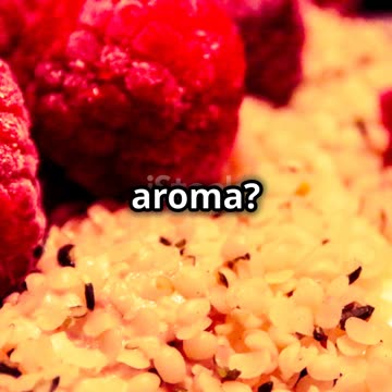 Keto Nutty Yogurt Bowl!!