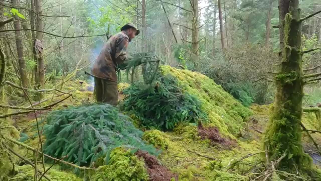 Building a Natural Forest Shelter using Fallen Tree _ Lean-To Style Bushcraft Log Shelter