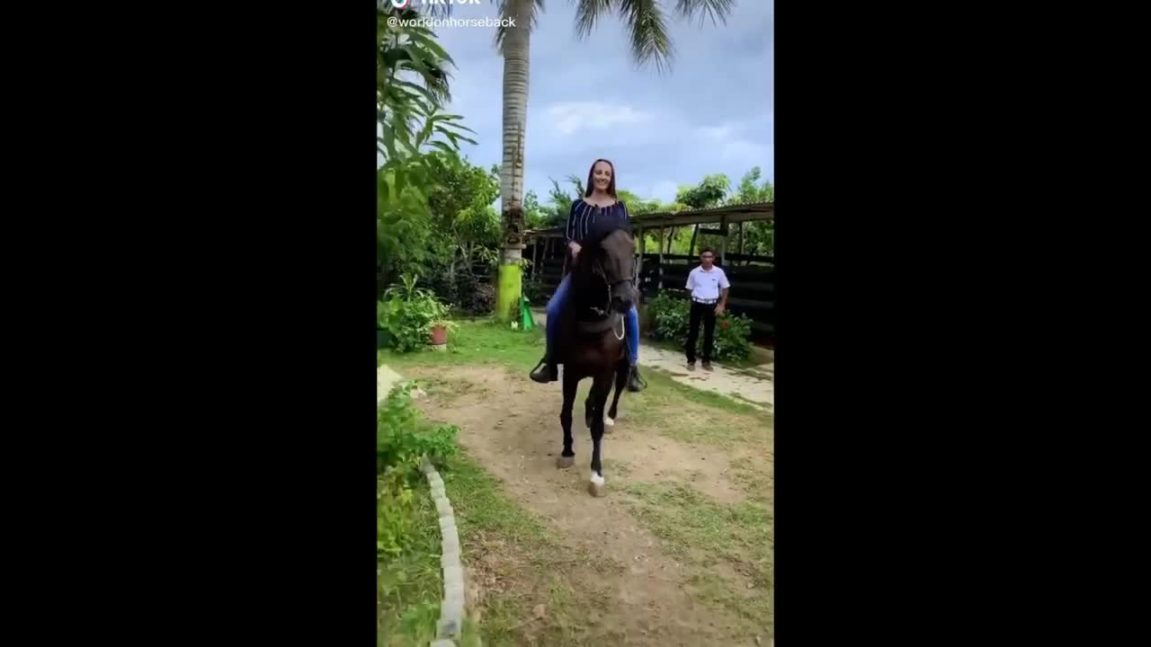 The Best HORSE TikTok Compilation 2022