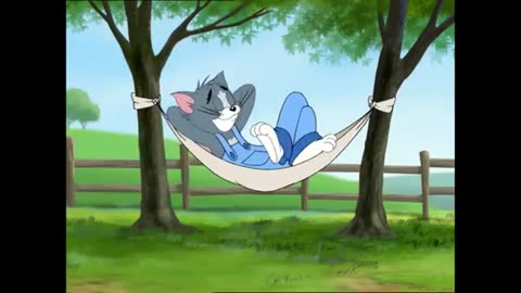 tom an jerry cartoon show