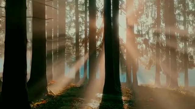 Light can have shapes
