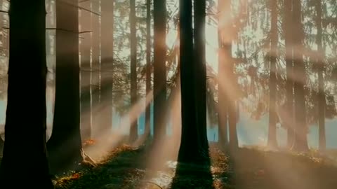 Light can have shapes