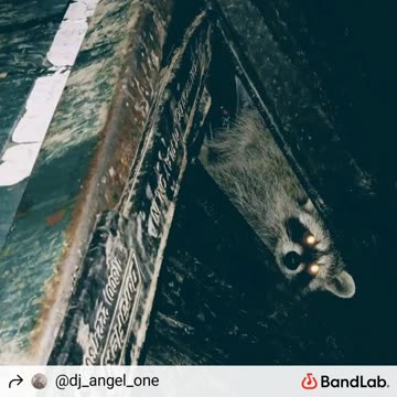 kannibal kannabis - toxicity [title track]