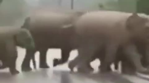 Everyone Has Value Everyone Has Value