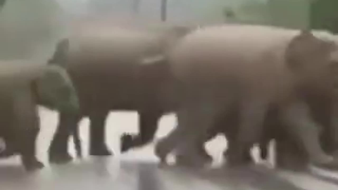 Everyone Has Value Everyone Has Value