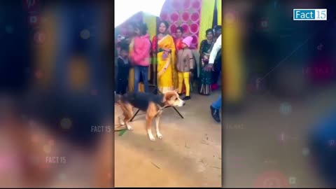 एन