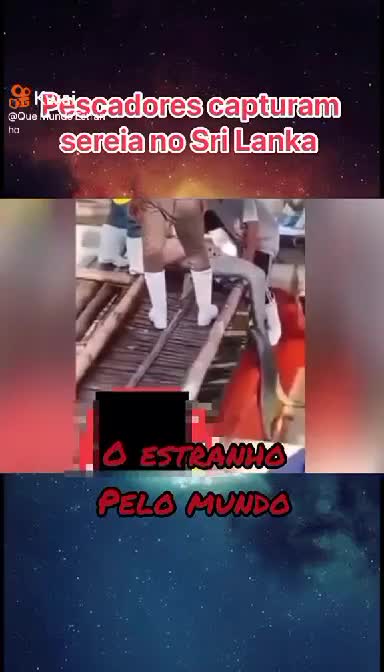 FISHERMEN CATCH MERMAID IN SRI LANKA WATCH VIDEO AND SHARE