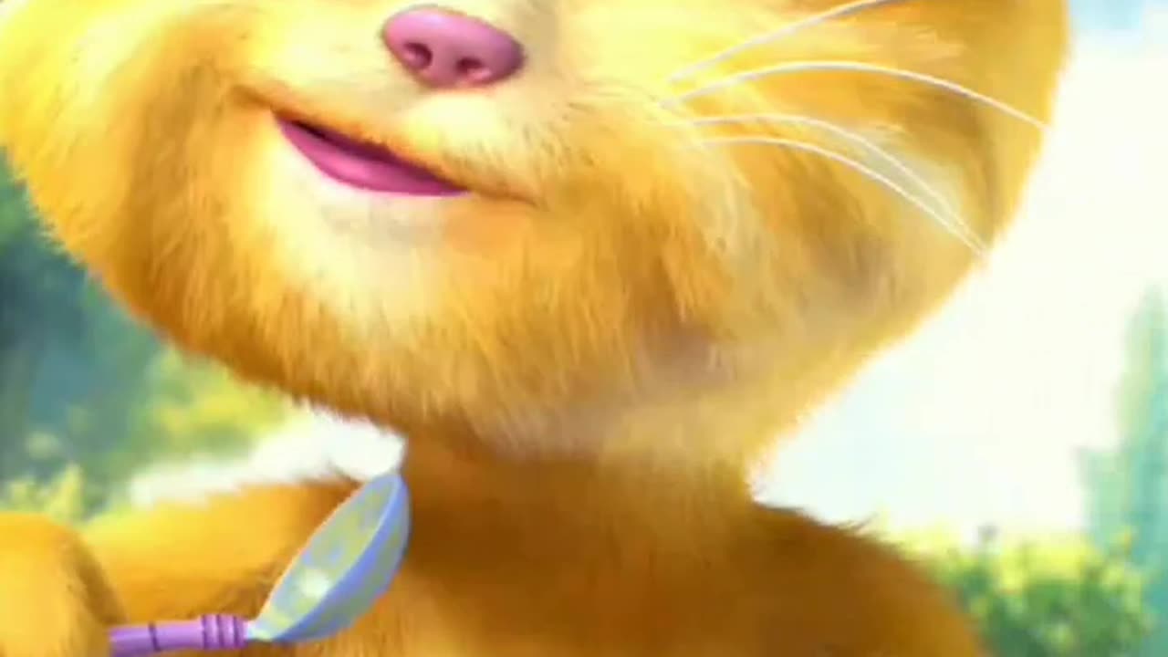 Talking Ginger Cat Funny Video