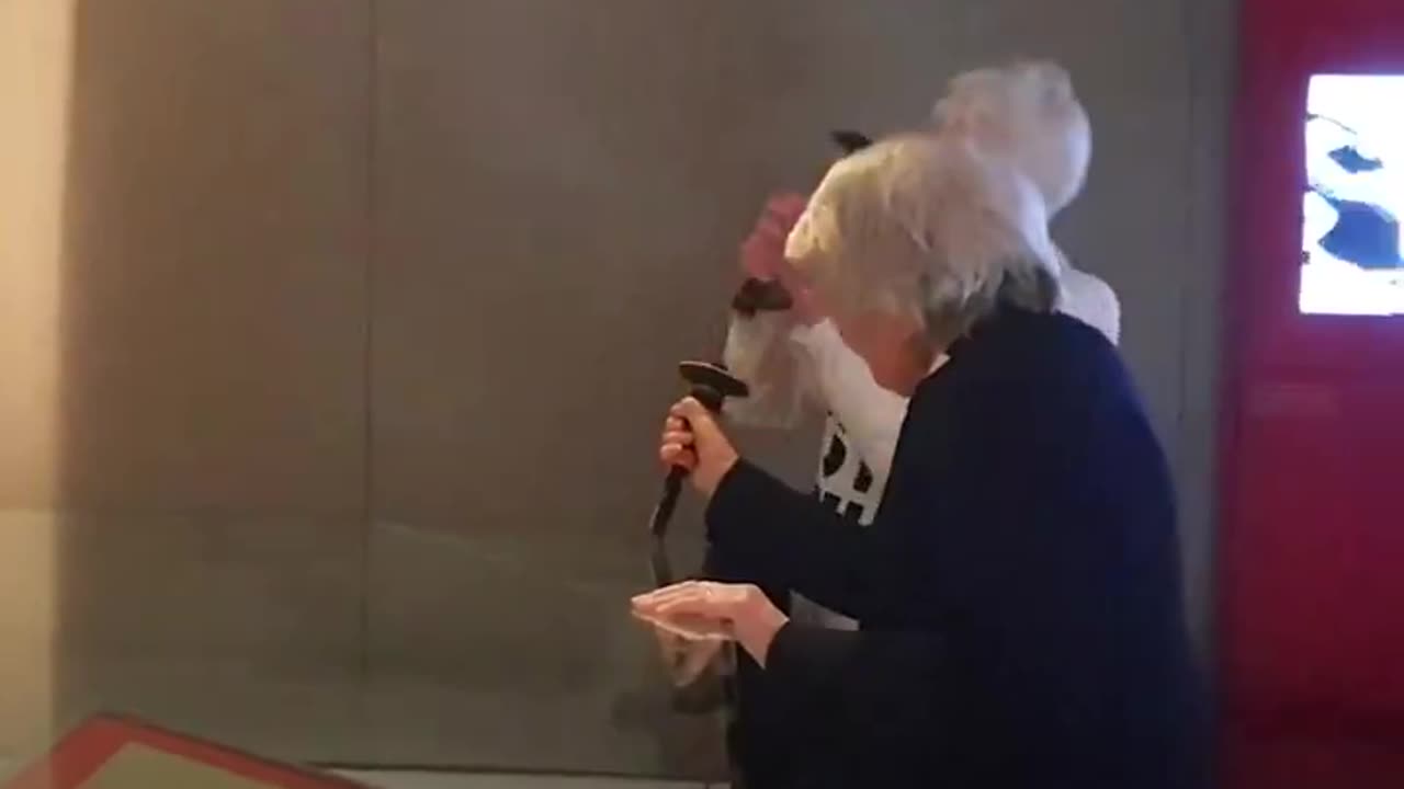 Old Lady Activists Try to Break Glass Protecting Magna Carta