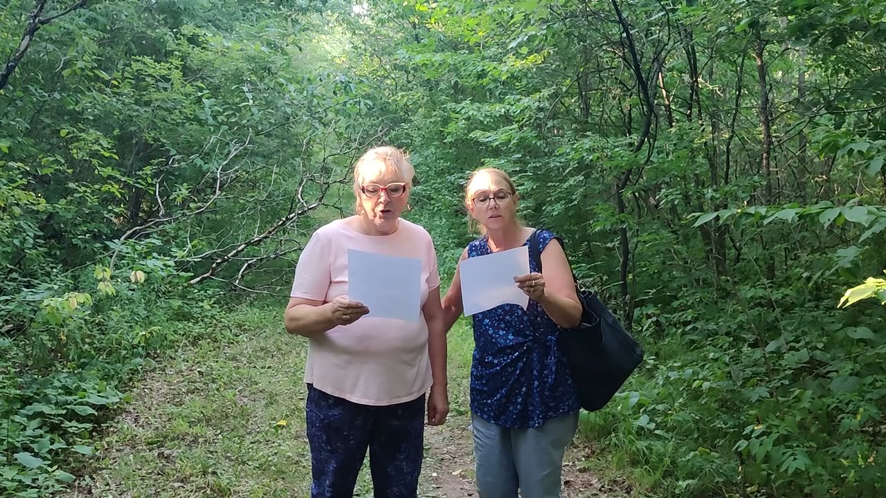 Praying for our state (Minnesota) hy 70 bridge