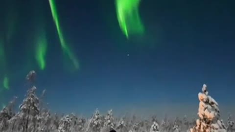 Young Stroll in Northern Lights