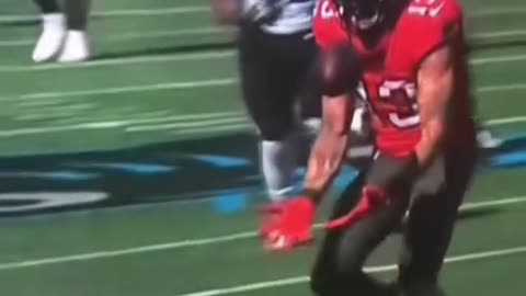 Mike Evans was not giving an autograph to the NFL referees according to the NFL