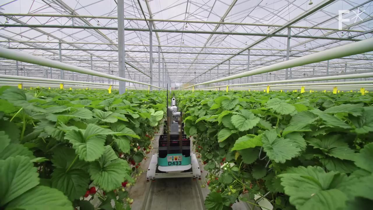 The farming robots that will feed the world