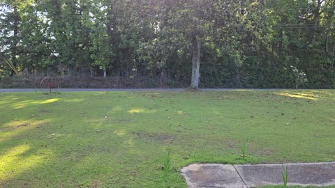 GSG Porch Report Fri 280423