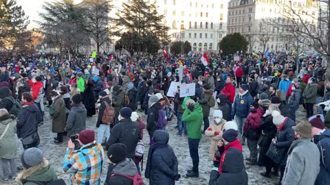 Kundgebung der MFG in Wien, 22.01.2022