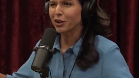 Tulsi Gabbard: The Democratic Party that I joined doesn't exist anymore