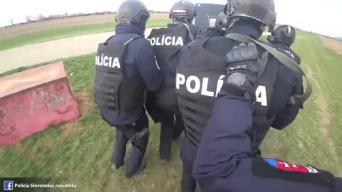 K9 police dog in action