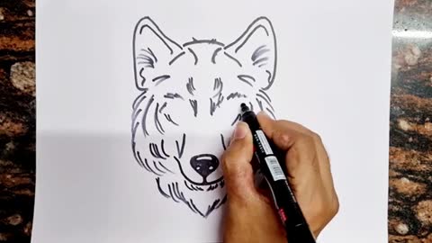 Wolf drawing // Bhediya Drawing // Easy Wolf face drawing