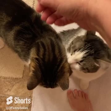 Shower greeters - Part 2