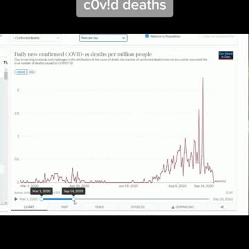 Excessive deaths in Australia the media didn’t report