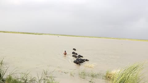 Sindh River