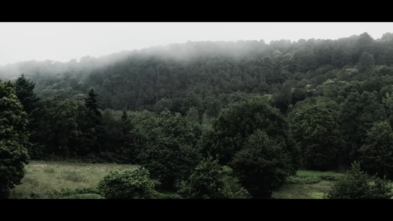 The Misty Forest _ Cinematic Drone Footage