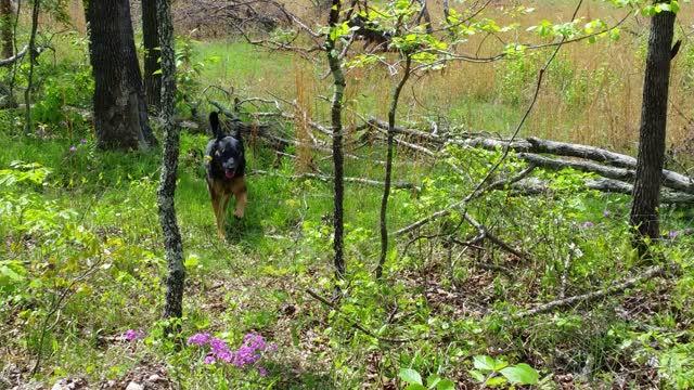 Tex Went Home 10-3-22