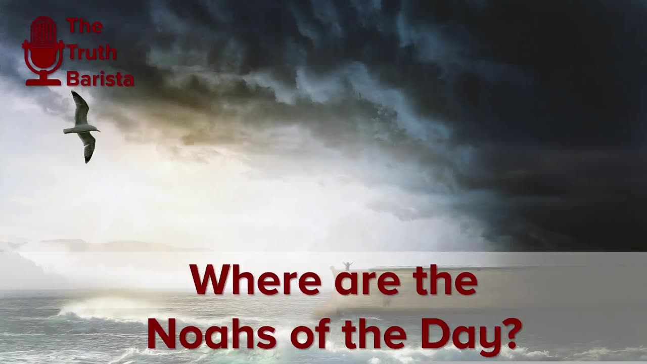 Where are the Noahs of the Day?