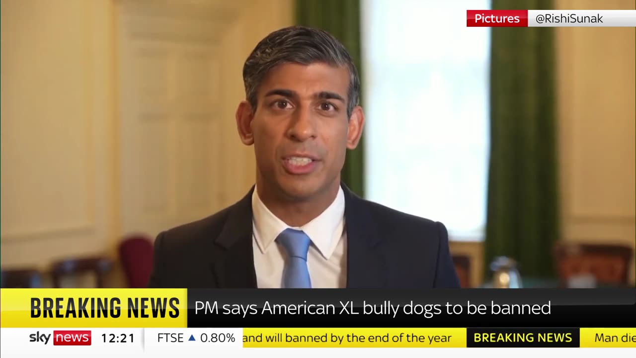 American xl bully dogs to be banned after Attack PM announce....