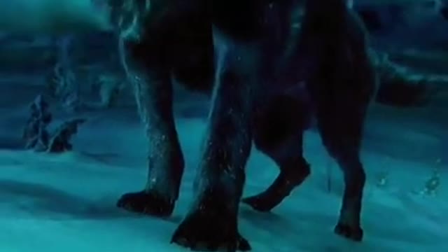 #Dog#fight#angry#attitude#whatsapp#status#dog#lover#