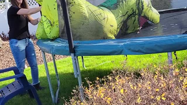 Getting on a Trampoline as a T-Rex is Hard