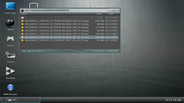 Updating PS3 game with a Flash disk (USB Drive)