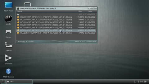Updating PS3 game with a Flash disk (USB Drive)