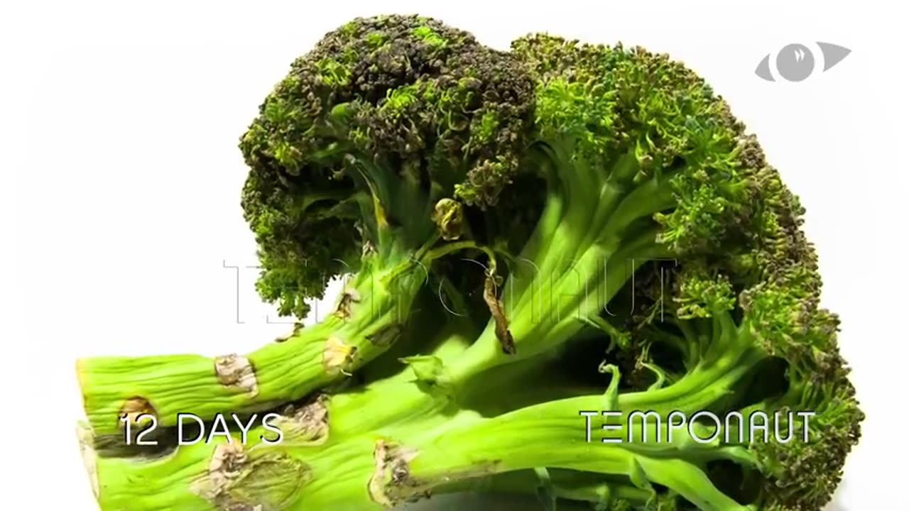 Broccoli Time-lapse Zeitraffer-Video
