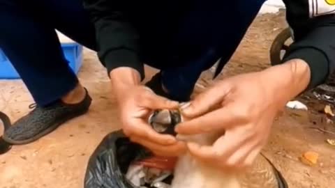 The puppy in the garbage truck 😭#fyp #dog #puppy #foryou #pet #abandoned