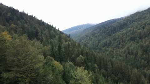 Natural scenery