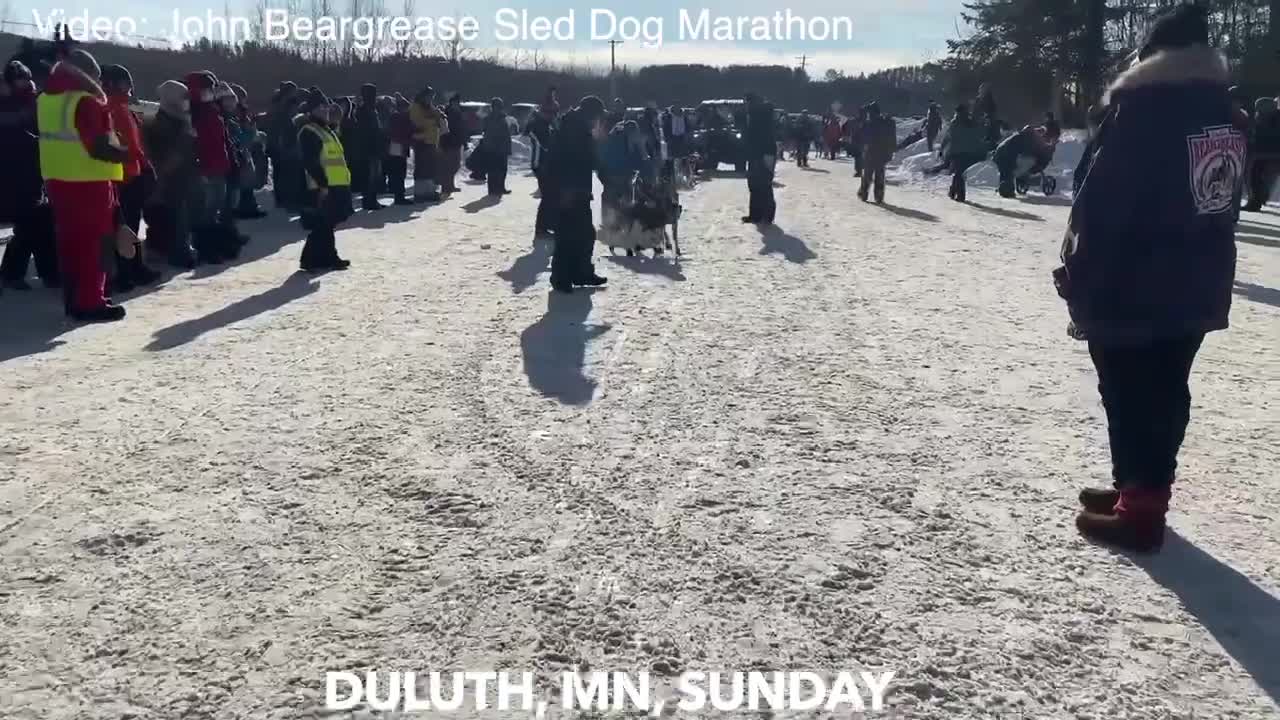 John Beargrease Sled Dog Marathon Underway In Duluth