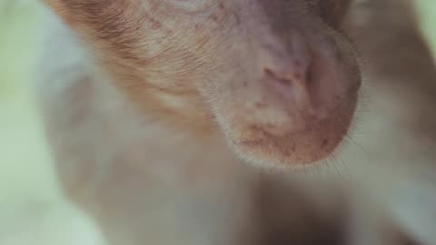 Sad 😢 monkey 😔🐵