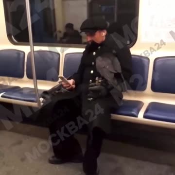 Wonder if the crow paid the fare too 🤣