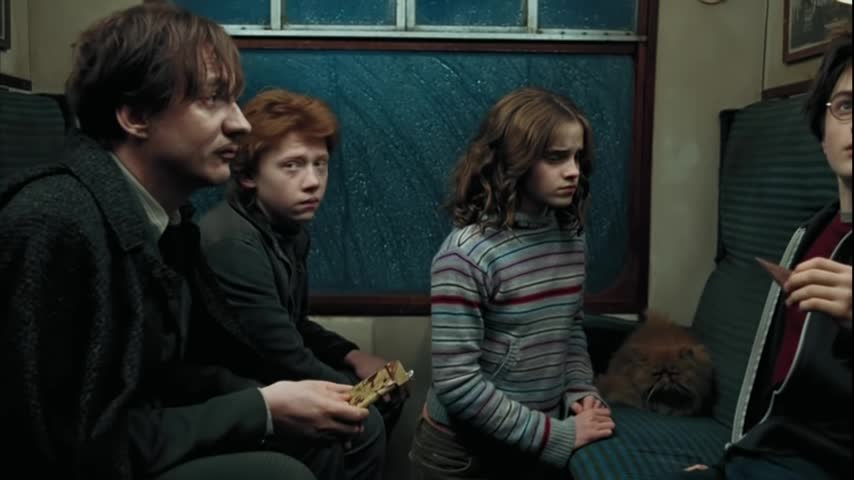 First meeting with Dementor Harry Potter and the Prisoner of Azkaban [Open Matte 169]