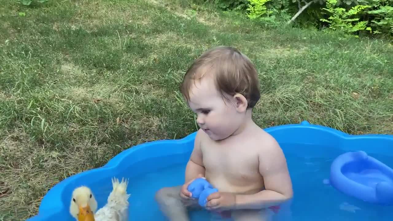 Funny baby reactions