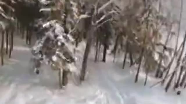 Terrifying Moment caught in camera