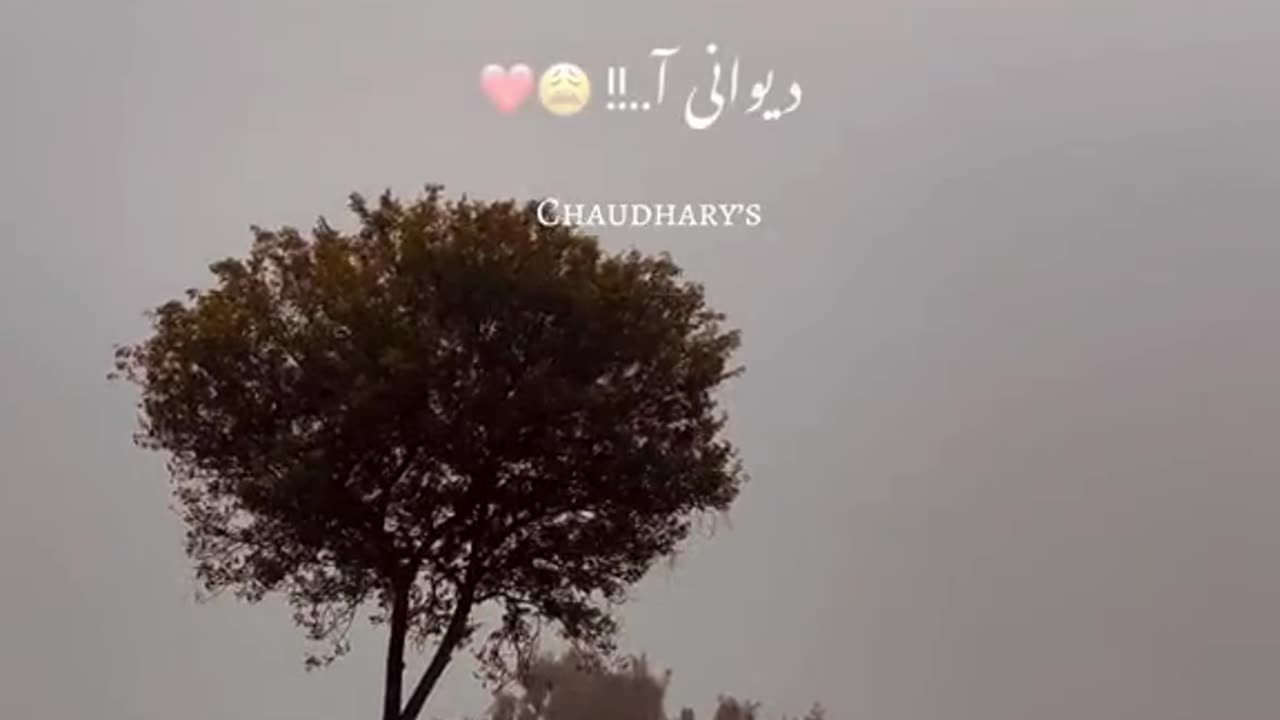 osam video☺☺☺