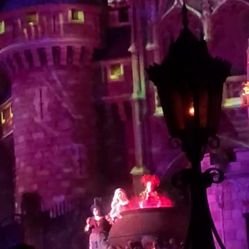 Hocus Pocus - Disney World Halloween Nights