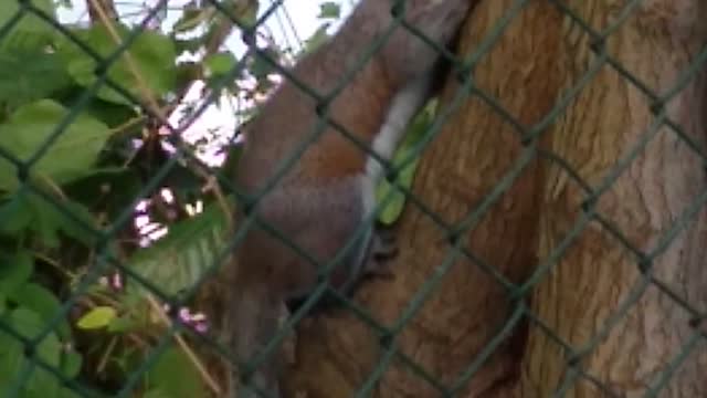 Little visitor today 6-29-22