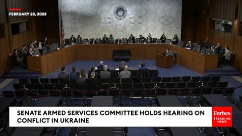 'President Biden Tempted Vladimir Putin-'- Tom Cotton Questions Witness On Ukraine Policy